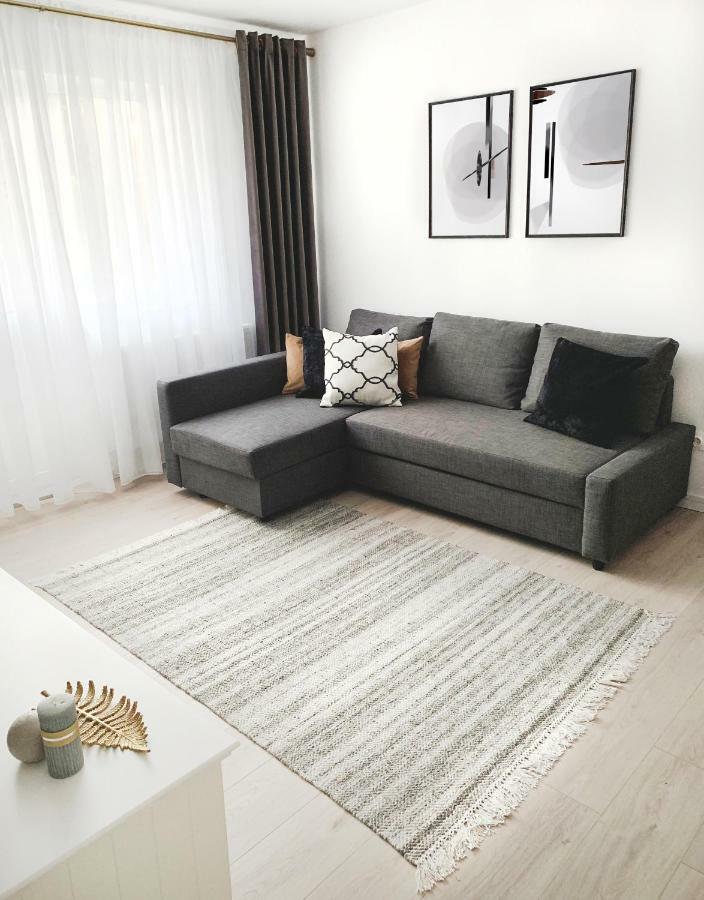 Mhc Quiet Deluxe Suite Near Downtown - Free Parking Brașov Exterior foto